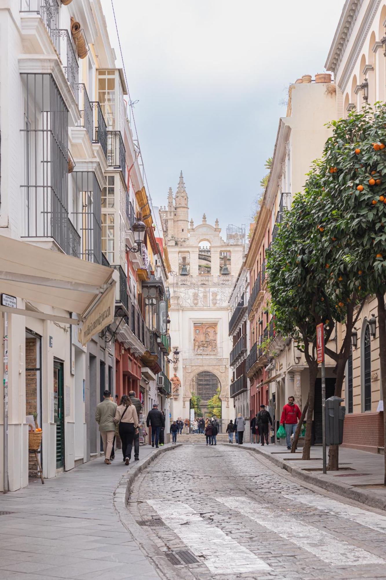 Lujoso Apartamento En Casco Antiguo De Sevilla Eksteriør bilde